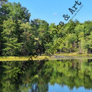 Bays Mountain Reservoir