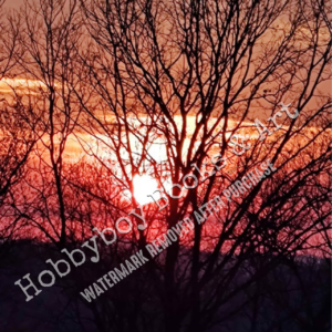 Firey Bush Sunset